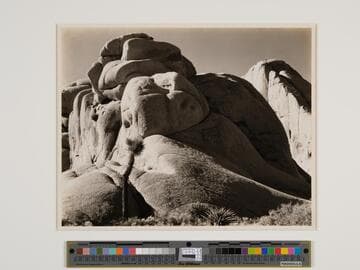 Mojave Desert