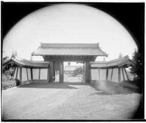 Go to image 9.