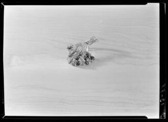 Go to image 58.