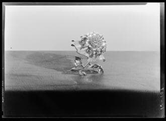Go to image 16.