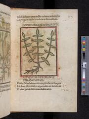 Go to image 199.