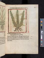 Go to image 109.
