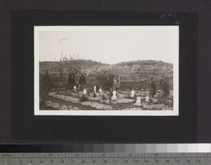 Go to image 53.