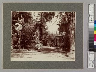 Go to image 1.