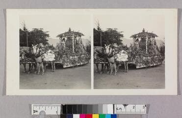 Go to image 1.