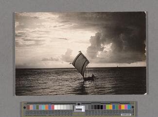 Go to image 567.