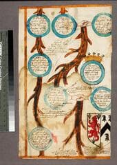 Go to image 4.