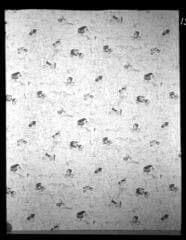 Go to image 13.