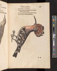 Go to image 35.
