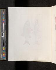 Go to image 314.