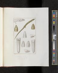 Go to image 353.