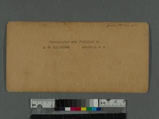 Go to image 2.