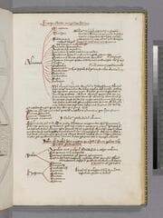 Go to image 13.