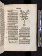 Go to image 203.