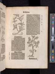 Go to image 45.