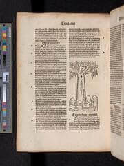 Go to image 222.