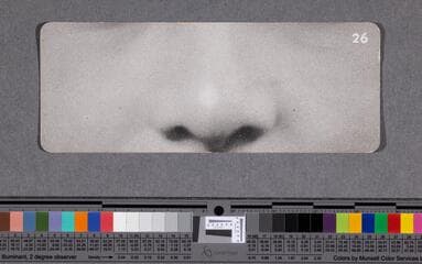 Go to image 65.