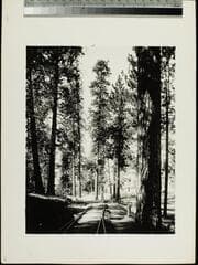 Go to image 61.