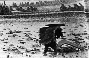 Go to image 25.