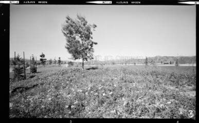 Go to image 11.