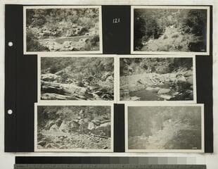 Go to image 123.