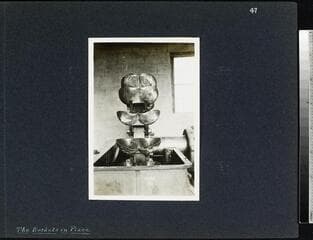 Go to image 48.