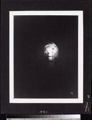 Go to image 40.