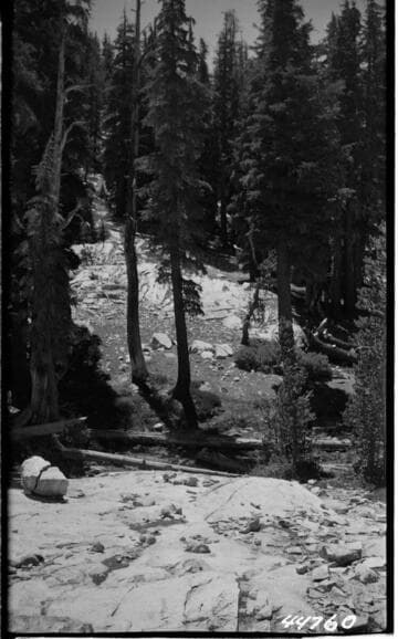 Big Creek Scenery