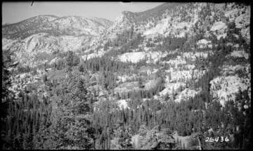 Fish Valley