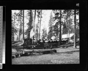 Go to image 50.