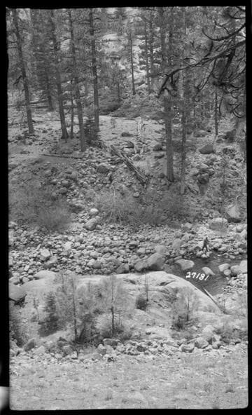 Big Creek General