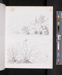 Go to image 236.
