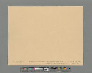 Go to image 9.