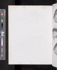 Go to image 1059.