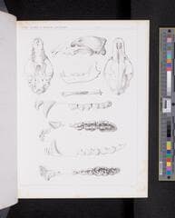 Go to image 750.
