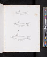 Go to image 1088.