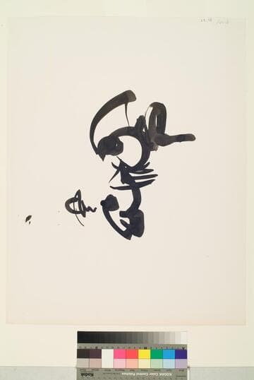 Calligraphic Form