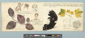 Nine sketches