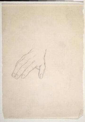 Hand Study