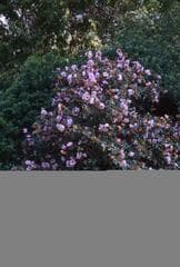 Go to image 11.