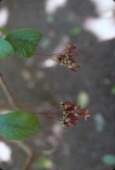 Go to image 5.
