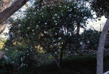 Go to image 5.