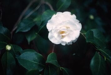 Go to image 3.