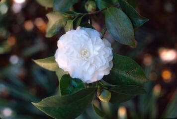 Go to image 3.
