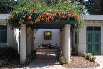 Go to image 22.