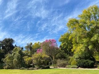 Go to image 15.
