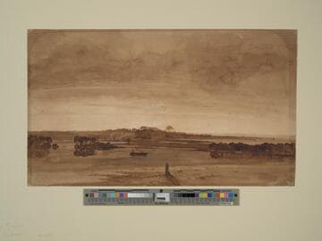 Estuary Landscape