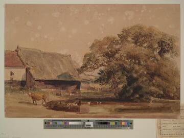 Sunny Farmyard