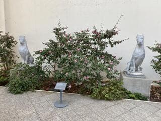 Go to image 11.