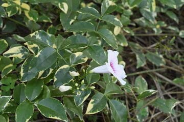 Go to image 3.